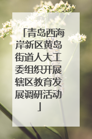 青岛西海岸新区黄岛街道人大工委组织开展辖区教育发展调研活动