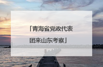 青海省党政代表团来山东考察