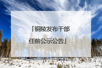 铜陵发布干部任前公示公告