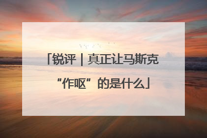 锐评｜真正让马斯克“作呕”的是什么