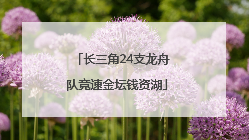 长三角24支龙舟队竞速金坛钱资湖