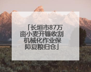 长垣市87万亩小麦开镰收割 机械化作业保障夏粮归仓