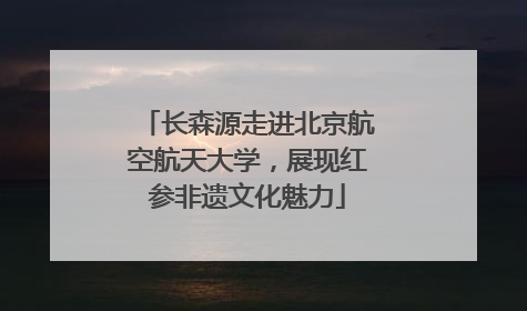 长森源走进北京航空航天大学，展现红参非遗文化魅力