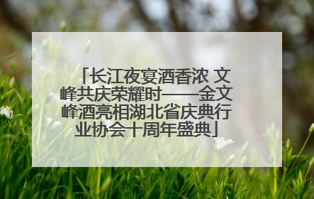 长江夜宴酒香浓 文峰共庆荣耀时——金文峰酒亮相湖北省庆典行业协会十周年盛典