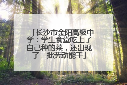 长沙市金阳高级中学：学生食堂吃上了自己种的菜，还出现了一批劳动能手