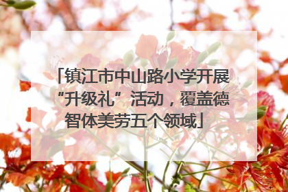 镇江市中山路小学开展“升级礼”活动，覆盖德智体美劳五个领域