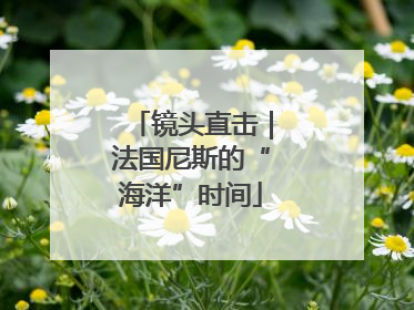 镜头直击｜法国尼斯的“海洋”时间