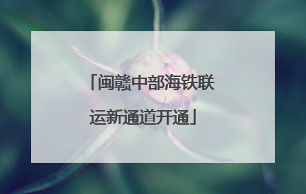 闽赣中部海铁联运新通道开通
