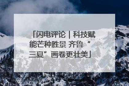 闪电评论｜科技赋能芒种胜景 齐鲁“三夏”画卷更壮美