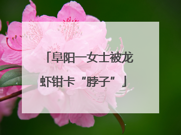 阜阳一女士被龙虾钳卡“脖子”