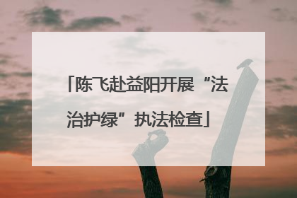 陈飞赴益阳开展“法治护绿”执法检查