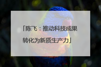 陈飞：推动科技成果转化为新质生产力