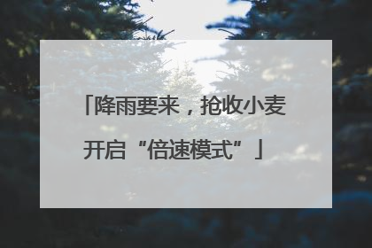 降雨要来，抢收小麦开启“倍速模式”