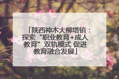 陕西神木大柳塔镇：探索“职业教育+成人教育”双轨模式 促进教育融合发展