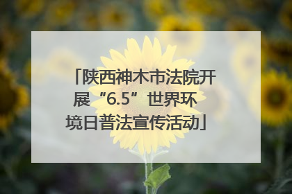 陕西神木市法院开展“6.5”世界环境日普法宣传活动