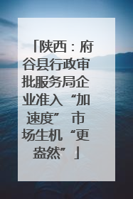 陕西：府谷县行政审批服务局企业准入“加速度” 市场生机“更盎然”