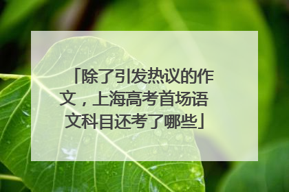 除了引发热议的作文，上海高考首场语文科目还考了哪些