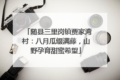 随县三里岗镇贾家湾村：八月瓜缀满藤，山野孕育甜蜜希望