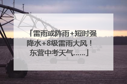 雷雨或阵雨+短时强降水+8级雷雨大风！东营中考天气……