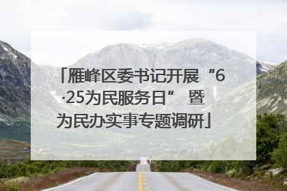 雁峰区委书记开展“6·25为民服务日” 暨为民办实事专题调研