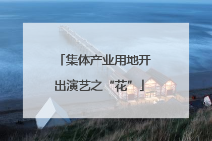 集体产业用地开出演艺之“花”