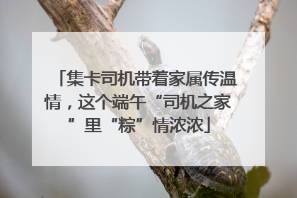 集卡司机带着家属传温情，这个端午“司机之家”里“粽”情浓浓