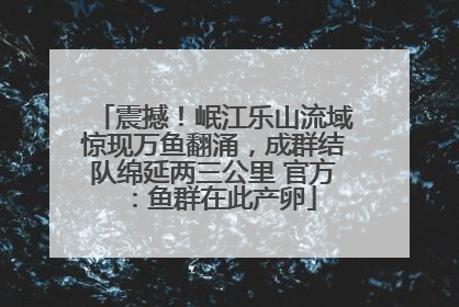 震撼！岷江乐山流域惊现万鱼翻涌，成群结队绵延两三公里 官方：鱼群在此产卵