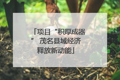 项目“积厚成器” 茂名县域经济释放新动能