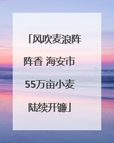 风吹麦浪阵阵香 海安市55万亩小麦陆续开镰