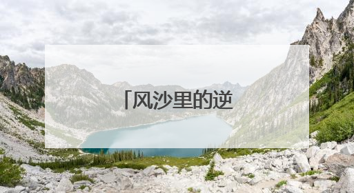 风沙里的逆袭“密码”