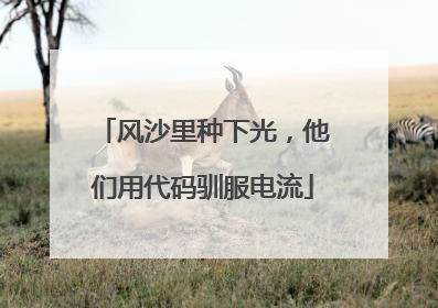 风沙里种下光，他们用代码驯服电流
