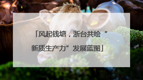 风起钱塘，浙台共绘“新质生产力”发展蓝图