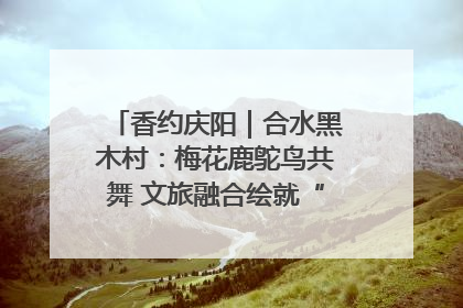 香约庆阳｜合水黑木村：梅花鹿鸵鸟共舞 文旅融合绘就“诗与远方”
