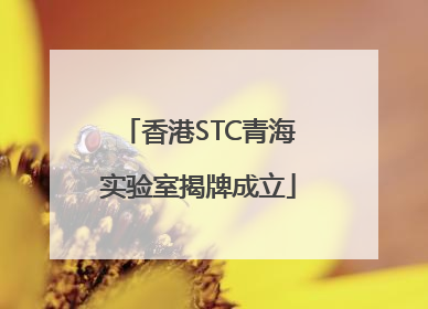 香港STC青海实验室揭牌成立