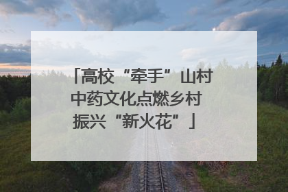高校“牵手”山村 中药文化点燃乡村振兴“新火花”