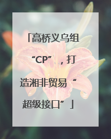 高桥义乌组“CP”，打造湘非贸易“超级接口”
