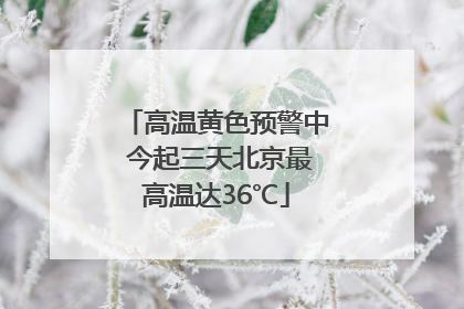 高温黄色预警中 今起三天北京最高温达36℃