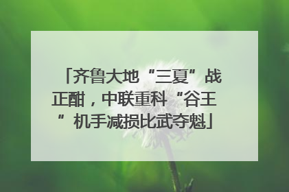齐鲁大地“三夏”战正酣，中联重科“谷王”机手减损比武夺魁
