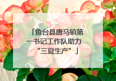 鱼台县唐马镇第一书记工作队助力“三夏生产”
