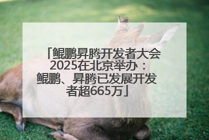 鲲鹏昇腾开发者大会2025在北京举办：鲲鹏、昇腾已发展开发者超665万