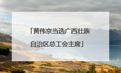 黄伟京当选广西壮族自治区总工会主席