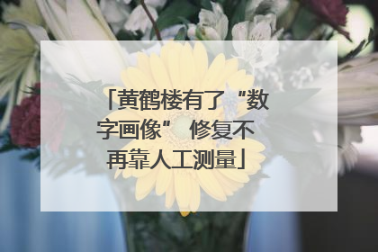 黄鹤楼有了“数字画像” 修复不再靠人工测量