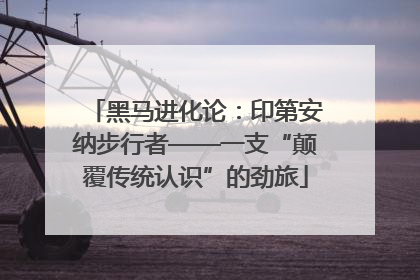 黑马进化论：印第安纳步行者——一支“颠覆传统认识”的劲旅