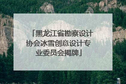 黑龙江省勘察设计协会冰雪创意设计专业委员会揭牌