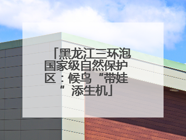 黑龙江三环泡国家级自然保护区：候鸟“带娃”添生机