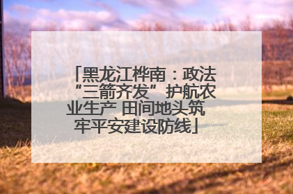 黑龙江桦南：政法“三箭齐发”护航农业生产 田间地头筑牢平安建设防线