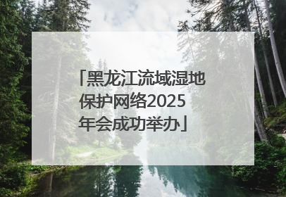 黑龙江流域湿地保护网络2025年会成功举办
