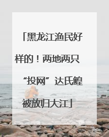 黑龙江渔民好样的！两地两只“投网”达氏鳇被放归大江