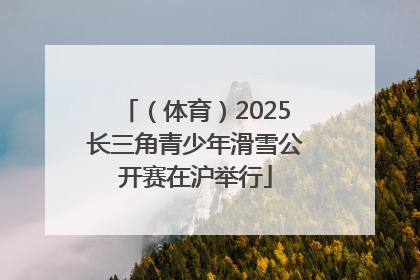 （体育）2025长三角青少年滑雪公开赛在沪举行