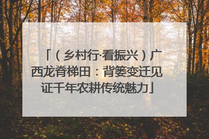 （乡村行·看振兴）广西龙脊梯田：背篓变迁见证千年农耕传统魅力